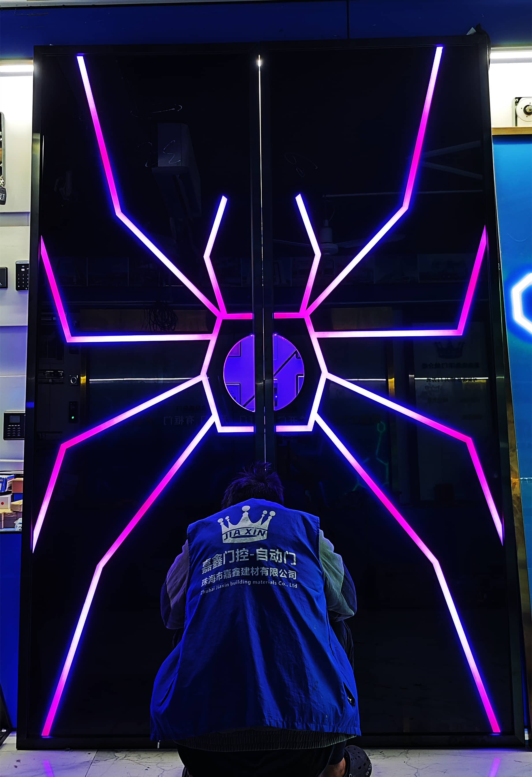 网红门定做 智能掌纹触摸平移门